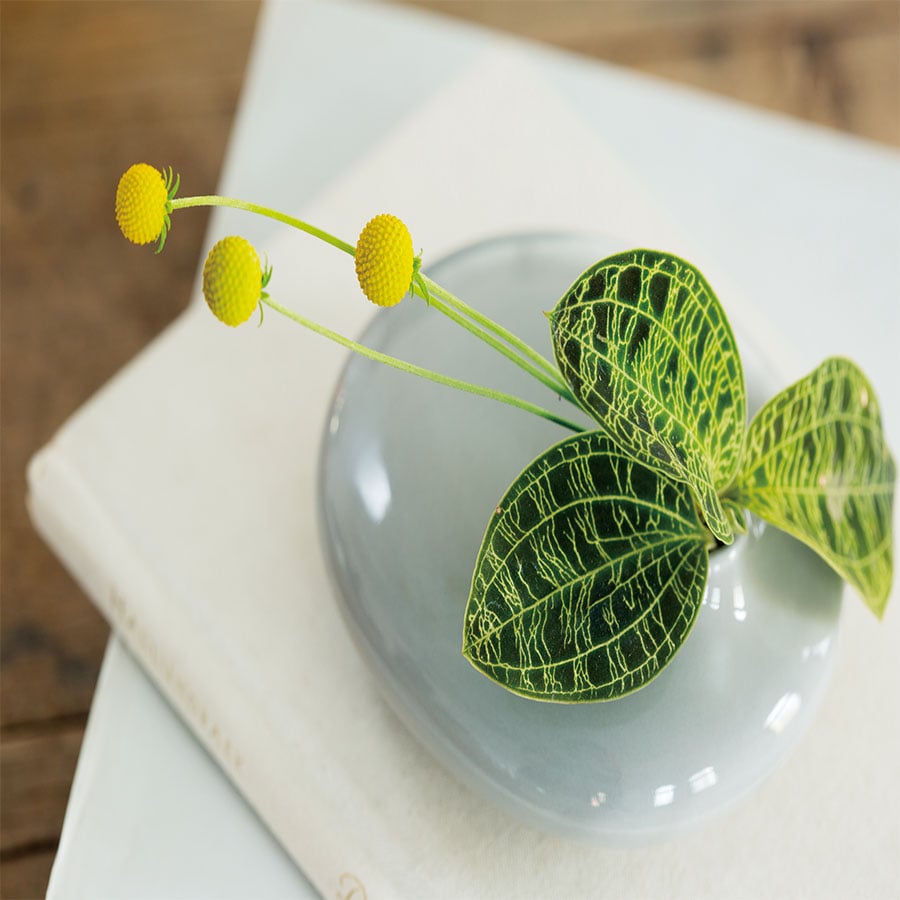 KINTO SACCO VASE PORCELAIN 01  GRAY 5