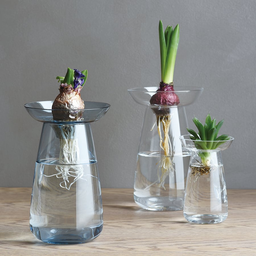  KINTO AQUA CULTURE VASE 120MM / 5IN  CLEAR 2