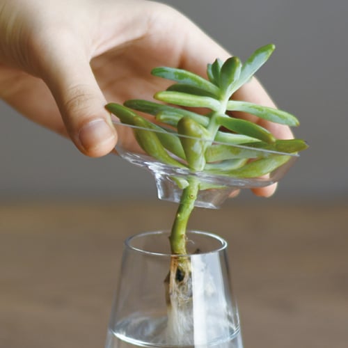  KINTO AQUA CULTURE VASE 80MM / 3IN  CLEAR 2