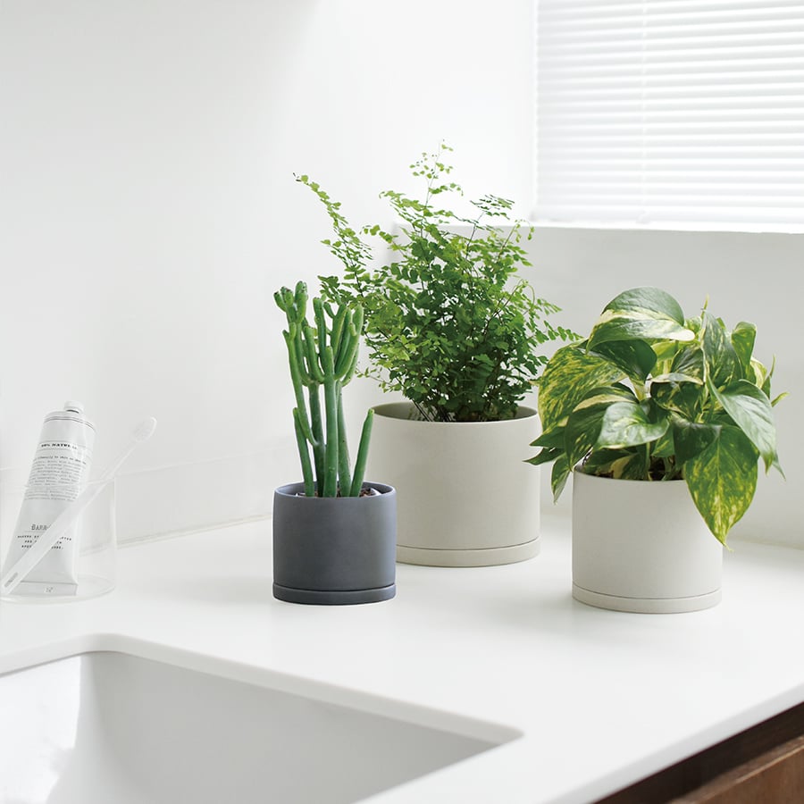  KINTO PLANT POT 191_ 105MM / 4IN  EARTH GRAY 1