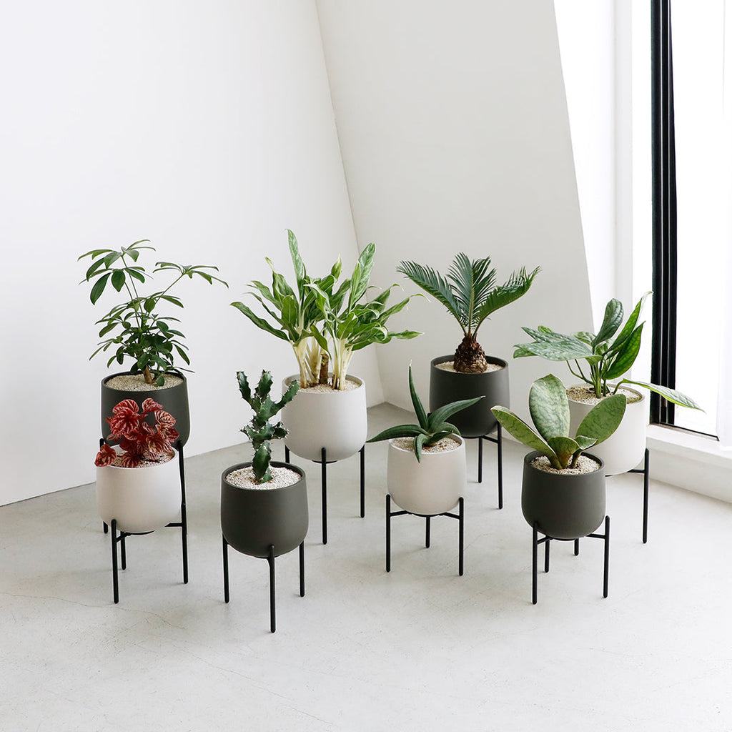  KINTO PLANT POT 211_ 135MM  DARK GRAY 5