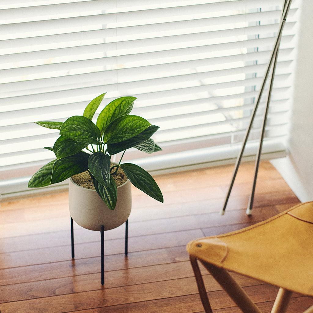 the pot plant KINTO PLANT POT – Minimal Ceramic Planter for Modern Spaces – KINTO USA, Inc