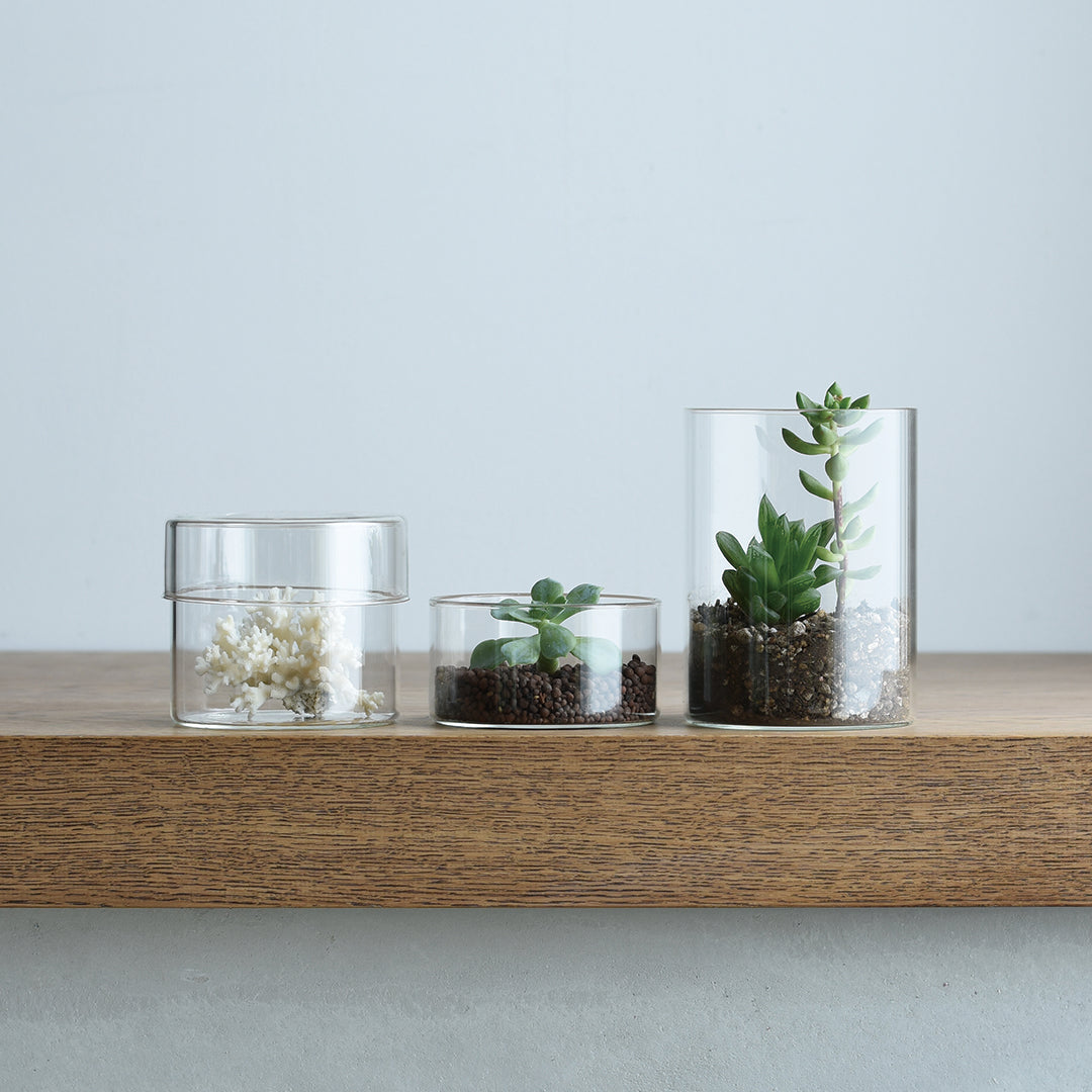 KINTO SCHALE Glass Case 100×55mm – Compact Decorative Glass